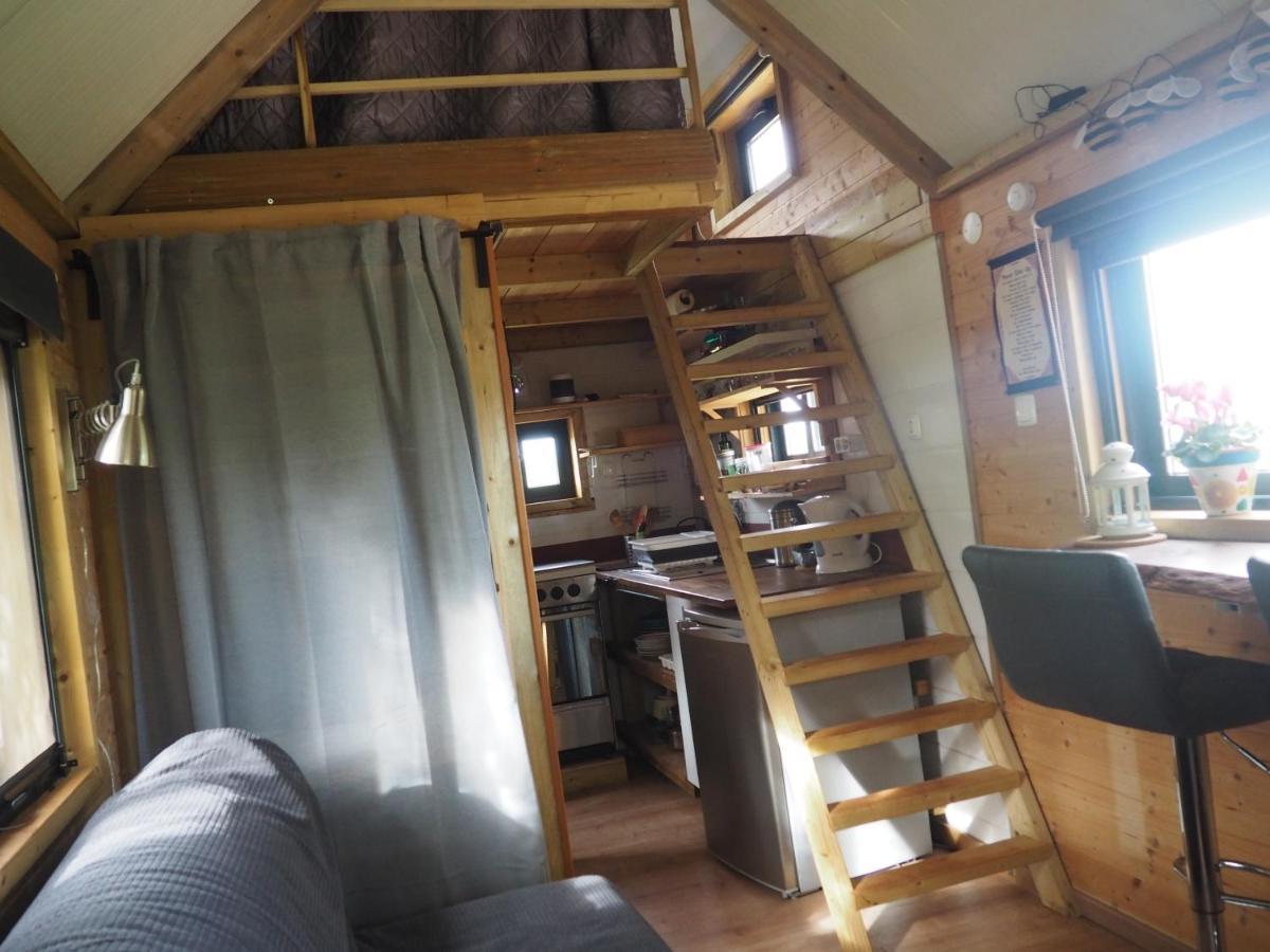 Tiny House Eco Resort Estevais 외부 사진